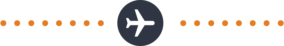 Searching flights